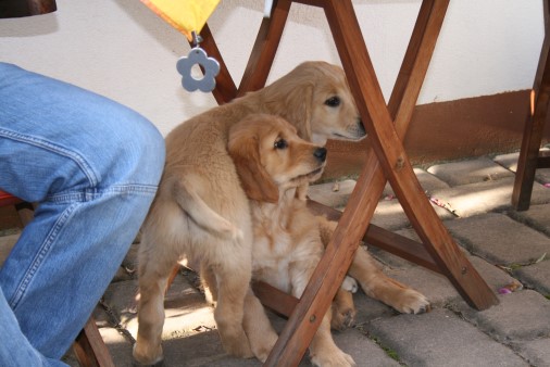 IMG 0308