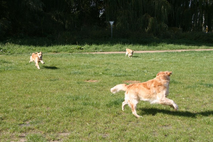 IMG 0513