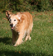 Click here to see the picture (Kaja.jpg)