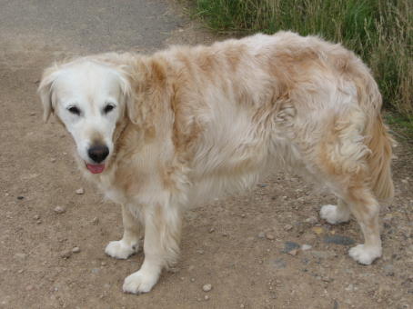 2007 07